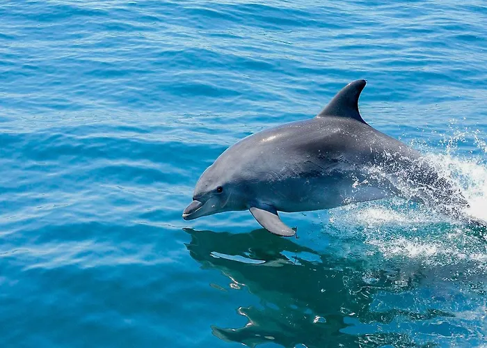 Luxury 1 Bedroom Apartment, Marina De Albufeira3 Appartamento Albufeira